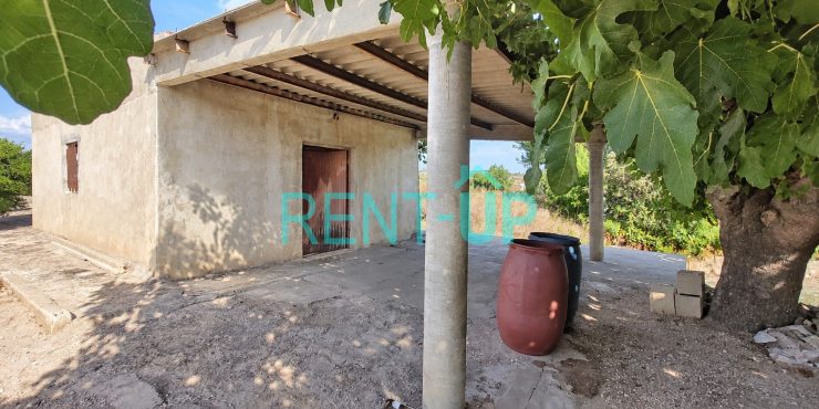 Venta de terreno en producción de cítricos, con casa de aperos en Xàtiva, Ref. 4006